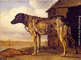 Paulus Potter Canvas Paintings - The Wolf-Hound